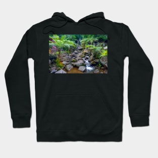 Philippine Highlands Hoodie